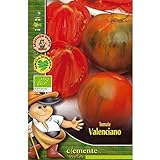 Semillas ecológicas de Tomate Valenciano Foto, éxito de ventas 2024-2023 nuevo, mejor precio 4,42 € revisión