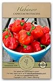 Gaea's Blessing Seeds - Habanero Pepper Seeds (100 Seeds) Non-GMO Seeds with Easy to Follow Planting Instructions - Open-Pollinated Heirloom Hot Pepper Seeds Germination Rate 92% Net Wt. 1.0g Photo, bestseller 2024-2023 new, best price $5.99 review