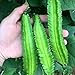 Photo 20 Pcs Non-GMO Winged Bean Seeds Psophocarpus Tetragonolobus Natural Green Seeds,for Growing Seeds in The Garden or Home Vegetable Garden new bestseller 2024-2023