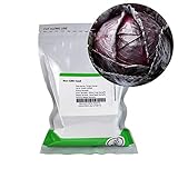 Red Acre Cabbage Seeds: 1 Lb - Non-GMO, Chemical Free Sprouting Seeds for Vegetable Garden & Growing Micro Greens Photo, bestseller 2024-2023 new, best price $31.39 ($1.96 / Ounce) review