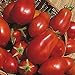 Photo Shop Meeko Tomate - San Marzano - 75 graines nouveau best-seller 2024-2023