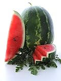 Cal Sweet Supreme Watermelon Seeds, 125 Heirloom Seeds Per Packet, Non GMO Seeds, High Germination & Purity, Botanical Name: Citrullus lanatus, Isla's Garden Seeds Photo, bestseller 2024-2023 new, best price $5.79 ($0.05 / Count) review