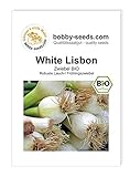 BIO-Zwiebelsamen White Lisbon, Lauchzwiebel Portion Foto, Bestseller 2024-2023 neu, bester Preis 2,45 € Rezension