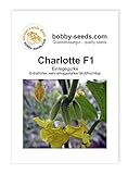 Gurkensamen Charlotte F1 Portion Foto, Bestseller 2024-2023 neu, bester Preis 2,30 € Rezension