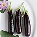 Photo David's Garden Seeds Eggplant Hansel (Purple) 25 Non-GMO, Hybrid Seeds new bestseller 2024-2023