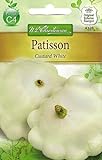 Chrestensen Patisson 'Custard White' Foto, Bestseller 2024-2023 neu, bester Preis 2,65 € Rezension