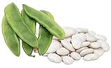 Henderson Lima Beans, 50 Seeds Per Packet, Non GMO Heirloom Seeds, High Germination & Purity, Botanical Name: Phaseolus lunatus, Isla's Garden Seeds Photo, bestseller 2024-2023 new, best price $5.99 ($0.12 / Count) review