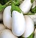 Photo David's Garden Seeds Eggplant White Star (White) 25 Non-GMO, Hybrid Seeds new bestseller 2024-2023