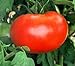 Photo 110+ Big Boy Organic NON-GMO Tomato Seeds - My Secret Garden - UPC742137106032 new bestseller 2024-2023