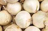 250 Early White Grano PRR Onion Seeds | Non-GMO | Heirloom | Instant Latch Garden Seeds Photo, bestseller 2024-2023 new, best price $5.95 review
