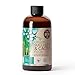 Photo Organic Succulent & Cactus Plant Food - Gentle Liquid Fertilizer Nutrients for Aloe Vera and Other Common Indoor and Outdoor Succulents & Cacti (8 oz) new bestseller 2024-2023