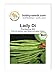 Foto Lady Di BIO-Bohnensamen von Bobby-Seeds, Portion neu Bestseller 2024-2023