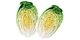 David's Garden Seeds Cabbage Chinese Minuet 8642 (Green) 50 Non-GMO, Hybrid Seeds Photo, bestseller 2024-2023 new, best price $4.45 review