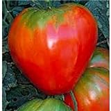 German Red Strawberry Tomato Seeds (20+ Seeds) | Non GMO | Vegetable Fruit Herb Flower Seeds for Planting | Home Garden Greenhouse Pack Photo, bestseller 2024-2023 new, best price $3.69 ($0.18 / Count) review