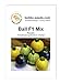 Foto Kürbissamen Ball Mix F1 Zucchini Rondinimischung Portion neu Bestseller 2024-2023
