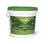 Fertiberia Césped Plus Antimusgo Abonos sólidos, Color parduzco Foto, éxito de ventas 2024-2023 nuevo, mejor precio 16,51 € revisión