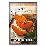 Sow Right Seeds - Honey Rock Melon Seed for Planting  - Non-GMO Heirloom Packet with Instructions to Plant a Home Vegetable Garden Photo, bestseller 2024-2023 new, best price $4.99 review