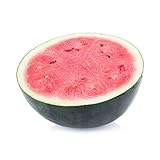 50 Sugar Baby Watermelon Seeds for Planting - Heirloom Non-GMO USA Grown Premium Fruit Seeds for Planting a Home Garden - Small Watermelon Citrullus Lanatus by RDR Seeds Photo, bestseller 2024-2023 new, best price $4.99 ($0.10 / Count) review