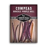 Survival Garden Seeds - Knuckle Purple Hull Cowpeas Seed for Planting - Packet with Instructions to Plant and Grow Delicious & Nutritious Peas in Your Home Vegetable Garden - Non-GMO Heirloom Variety Photo, bestseller 2024-2023 new, best price $4.99 review