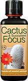 Engrais concentré Liquide Cactus and Succulent Focus 300 ML Photo, best-seller 2024-2023 nouveau, meilleur prix 11,97 € (39,90 € / l) examen