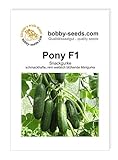 Pony F1 Snackgurkensamen von bobby-seeds Portion Foto, Bestseller 2024-2023 neu, bester Preis 4,69 € Rezension