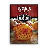 Survival Garden Seeds - Hillbilly Tomato Seed for Planting - Packet with Instructions to Plant and Grow Uniquely Colored Potato Leaf Tomatoes in Your Home Vegetable Garden - Non-GMO Heirloom Variety Photo, bestseller 2024-2023 new, best price $4.99 review