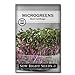 Photo Sow Right Seeds - Red Cabbage Microgreen Seed for Growing - Instructions to Quickly Grow Your Own Delicious and Healthy Microgreens - Plant Indoors with no Special Equipment - Minimum 14g per Packet new bestseller 2024-2023