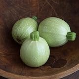 David's Garden Seeds Zucchini Round Cue Ball (Green) 25 Non-GMO, Hybrid Seeds Photo, bestseller 2024-2023 new, best price $4.95 review