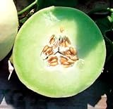 Park Seed Snow Mass Honeydew Melon Seeds Photo, bestseller 2024-2023 new, best price $7.95 review