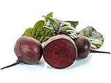 100 Graines de Betterave Rouge - légumes jardin potager méthode BIO Photo, best-seller 2024-2023 nouveau, meilleur prix 4,49 € examen