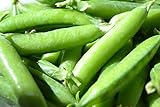 Sugar Ann Snap Pea Garden Seeds, 50 Heirloom Seeds Per Packet, Non GMO Seeds Photo, bestseller 2024-2023 new, best price $6.25 ($0.12 / Count) review