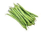 Burpee Stringless Green Bean Seeds, 50 Heirloom Seeds Per Packet, Non GMO Seeds, (Isla's Garden Seeds), Botanical Name: Phaseolus vulgaris, 85% Germination Rates Photo, bestseller 2024-2023 new, best price $5.99 ($0.12 / Count) review