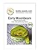 Foto BIO-Melonensamen Early Moonbeam Wassermelone Portion neu Bestseller 2024-2023