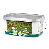Zulueta Nocut Green Fertilizante Anti Musgo césped, Amarillo, 27.00x19.50x12.00 cm Foto, éxito de ventas 2024-2023 nuevo, mejor precio 18,50 € revisión
