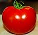 Photo Celebrity Tomato 45 Seeds -Disease Resistant! new bestseller 2024-2023