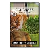 Sow Right Seeds - Cat Grass Seed for Planting - Easy to Grow Oat Grass That Your Cat Will Love - Non-GMO - Full Instructions - Great Gardening Gift (1 Packet) Photo, bestseller 2024-2023 new, best price $4.99 review