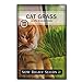 Photo Sow Right Seeds - Cat Grass Seed for Planting - Easy to Grow Oat Grass That Your Cat Will Love - Non-GMO - Full Instructions - Great Gardening Gift (1 Packet) new bestseller 2024-2023