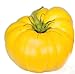 Photo Graines de tomate, jaune Brandywine, tomates jaunes, tomates Heirloom non Ogm 50ct nouveau best-seller 2024-2023