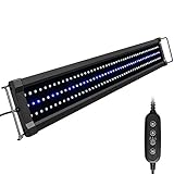 NICREW ClassicLED Gen 2 Aquarium Light, Dimmable LED Fish Tank Light with 2-Channel Control, White and Blue LEDs, High Output, Size 30 to 36 Inch, 25 Watts Photo, bestseller 2024-2023 new, best price $47.99 review