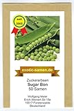 Zuckererbse - Sugar Bon - 50 Samen Foto, Bestseller 2024-2023 neu, bester Preis 1,80 € Rezension