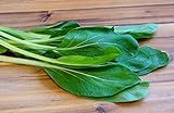 Gemüsekohl - Choy Sum, Gunsho - Chinakohl - Kohl - 100 Samen Foto, Bestseller 2024-2023 neu, bester Preis 1,70 € Rezension