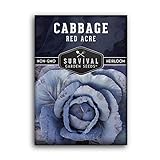 Survival Garden Seeds - Red Acre Cabbage Seed for Planting - Packet with Instructions to Plant and Grow Purple Cabbages in Your Home Vegetable Garden - Non-GMO Heirloom Variety Photo, bestseller 2024-2023 new, best price $4.99 review