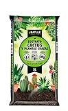 Sustrato Cactus 5l. Foto, éxito de ventas 2024-2023 nuevo, mejor precio 3,93 € revisión