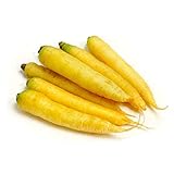 Mello Yellow Carrot Seeds, 100 Seeds Per Packet, Non GMO Seeds, Botanical Name: Daucus carota, Isla's Garden Seeds Photo, bestseller 2024-2023 new, best price $5.98 ($0.06 / Count) review