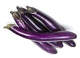 Eggplant Seeds for Planting Vegetables and Fruits(Ping Tung Long Purple Eggplant)for Home Vegetable Garden.Non GMO Heirloom Garden Seeds for Planting Vegetables-50 Ping Tung Long Veggie Seeds屏东茄 Photo, bestseller 2024-2023 new, best price $1.97 ($0.00 / Count) review