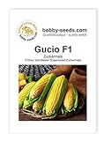 Gemüsesamen Gucio F1 Zuckermais Portion Foto, Bestseller 2024-2023 neu, bester Preis 2,35 € Rezension