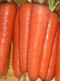 Seed Kingdom Carrot Tendersweet Great Heirloom Vegetable Seeds (5,000 Seeds) Photo, bestseller 2024-2023 new, best price $3.95 review