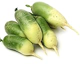 David's Garden Seeds Radish Green Luobo Improved 5453 (Green) 200 Non-GMO, Open Pollinated Seeds Photo, bestseller 2024-2023 new, best price $3.95 review
