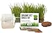 Photo Cat Grass Growing Kit - 3 Pack Organic Seed, Soil and BPA Free containers (Non GMO). All of Our Seed is Locally sourced! new bestseller 2024-2023