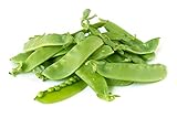 Oregon Giant Snow Pea Seeds Photo, bestseller 2024-2023 new, best price $5.49 review
